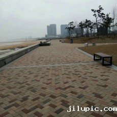 米兰国际彩票真的假的?