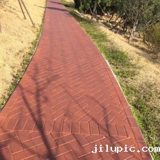 米兰国际彩票真的假的?