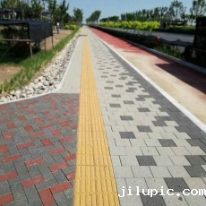 米兰国际彩票真的假的?