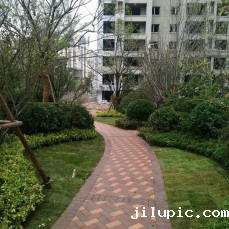 米兰国际彩票真的假的?