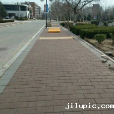 米兰国际彩票真的假的?