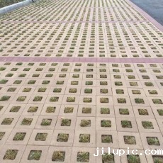 米兰国际彩票真的假的?