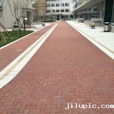 米兰国际彩票真的假的?