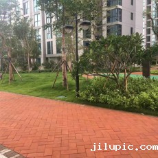 米兰国际彩票真的假的?